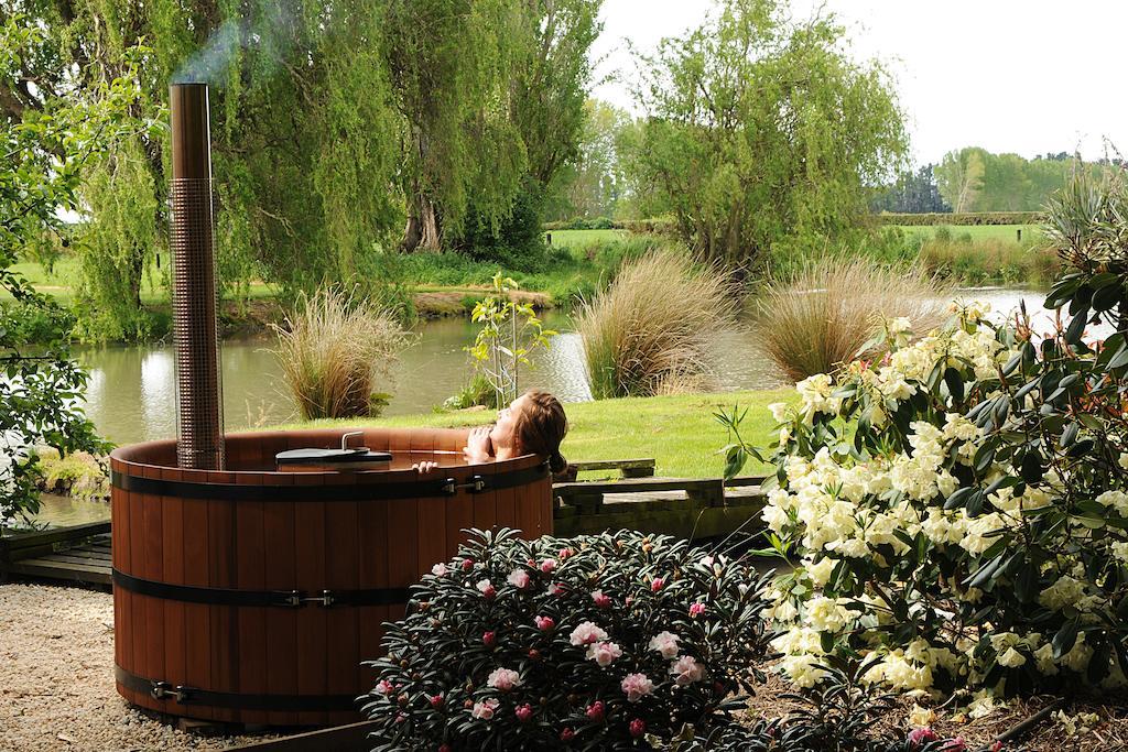 Revive On Oakview Boutique Beauty And Accommodation Ashburton Oda fotoğraf